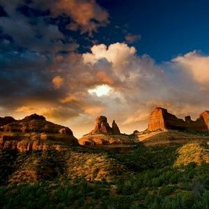 Meet your Posher, Harold